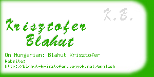 krisztofer blahut business card